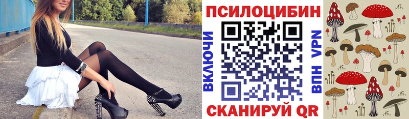 Псилоцибиновые грибы Psilocybine cubensis  Усть-Катав 